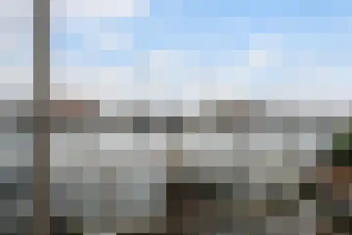 Oude Werf 14 Tholen thumbnail 20