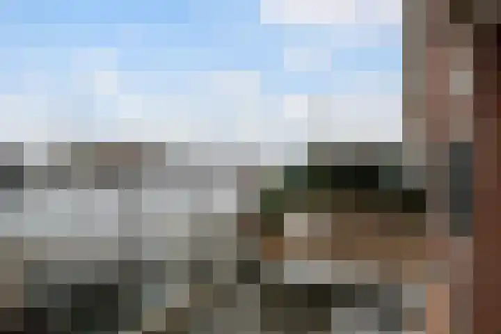 Oude Werf 14 Tholen thumbnail 21