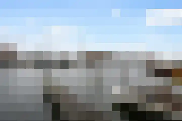 Oude Werf 14 Tholen thumbnail 22