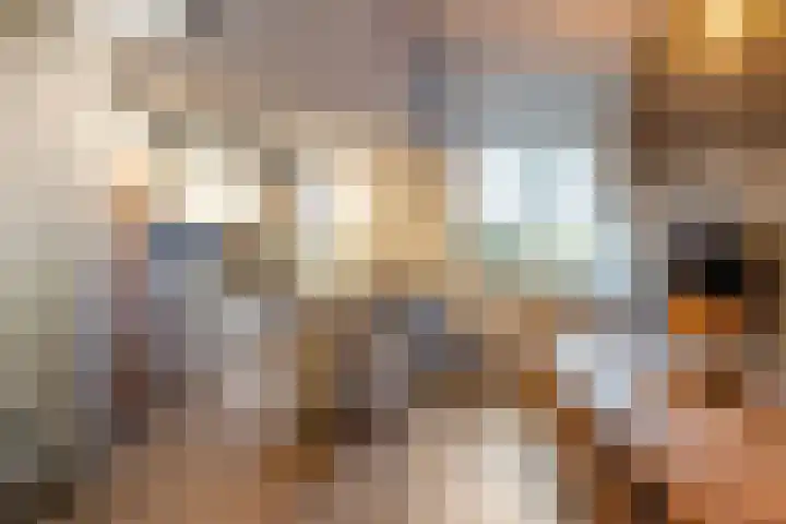 Oude Werf 14 Tholen thumbnail 28