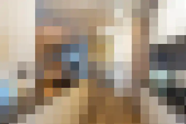 Oude Werf 14 Tholen thumbnail 30