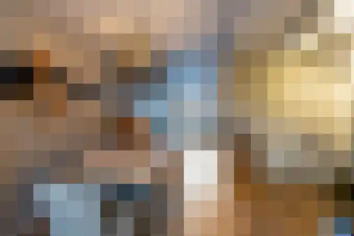 Oude Werf 14 Tholen thumbnail 31