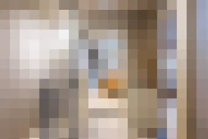 Oude Werf 14 Tholen thumbnail 34