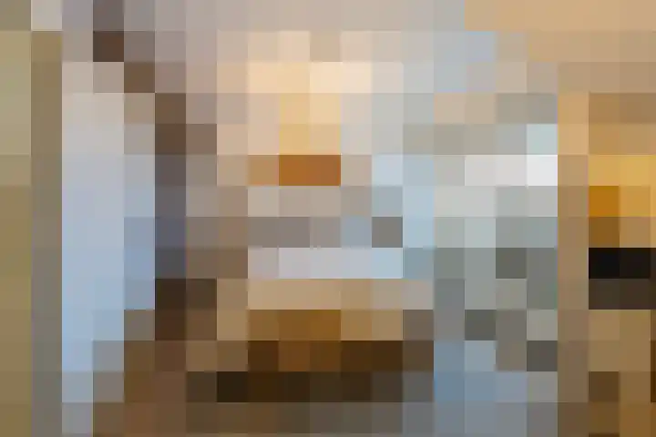 Oude Werf 14 Tholen thumbnail 35