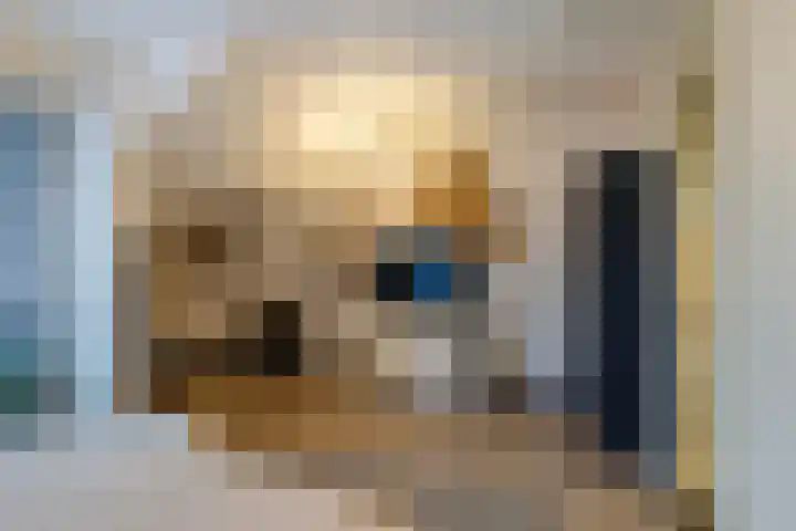 Oude Werf 14 Tholen thumbnail 36