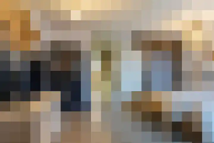 Oude Werf 14 Tholen thumbnail 37