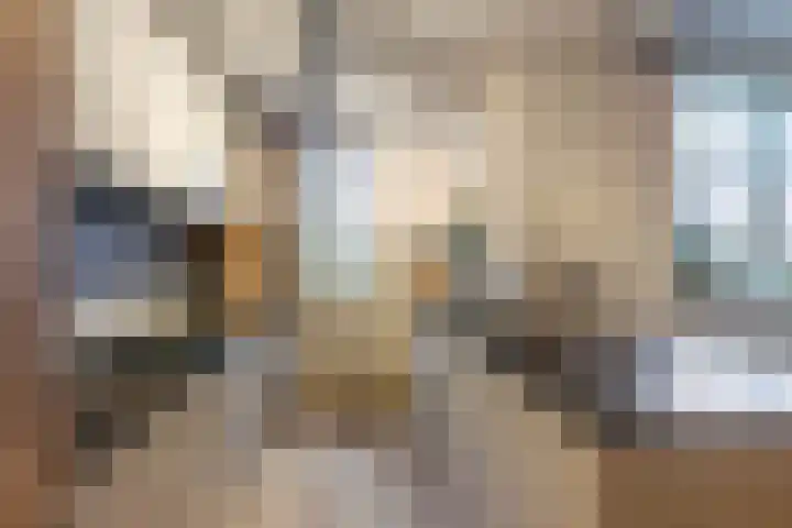 Oude Werf 14 Tholen thumbnail 4