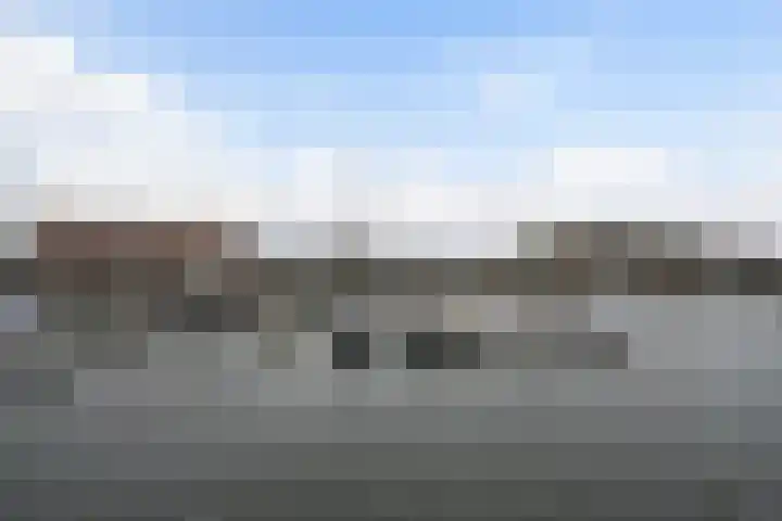 Oude Werf 14 Tholen thumbnail 40