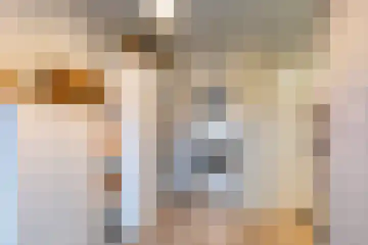 Oude Werf 14 Tholen thumbnail 42