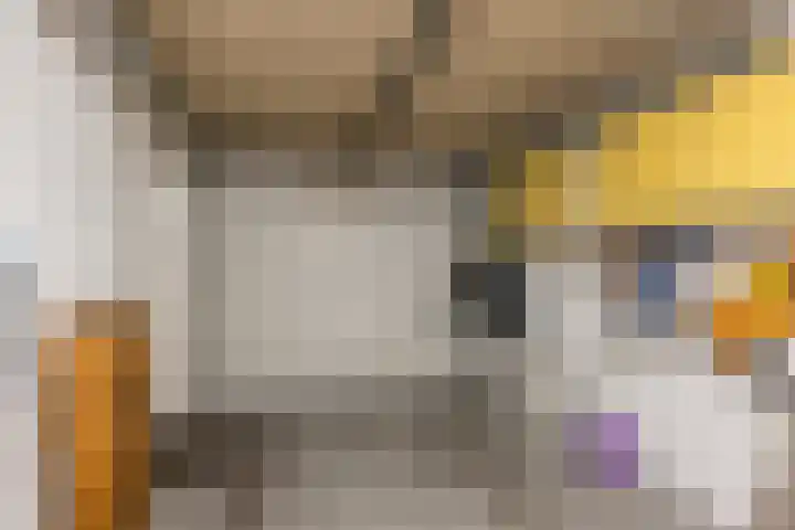 Oude Werf 14 Tholen thumbnail 47