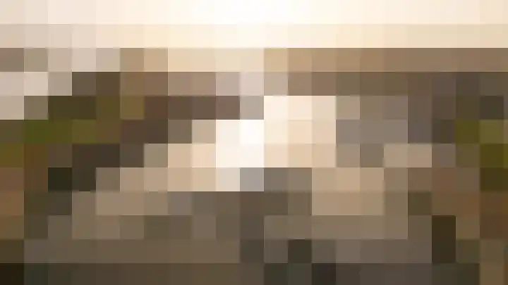 Oude Werf 14 Tholen thumbnail 54