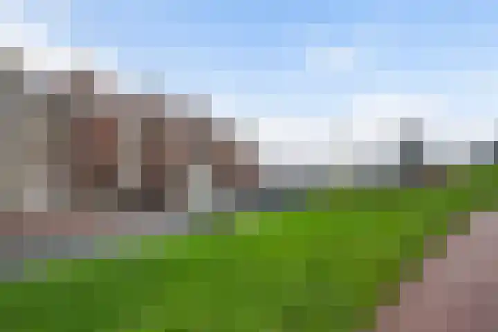 Oude Werf 14 Tholen thumbnail 8