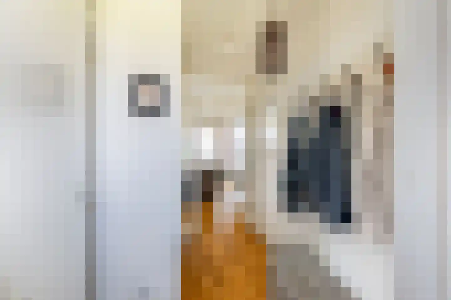 Oude Werf 24 Tholen thumbnail 10