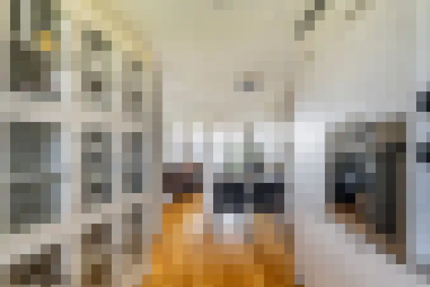 Oude Werf 24 Tholen thumbnail 15