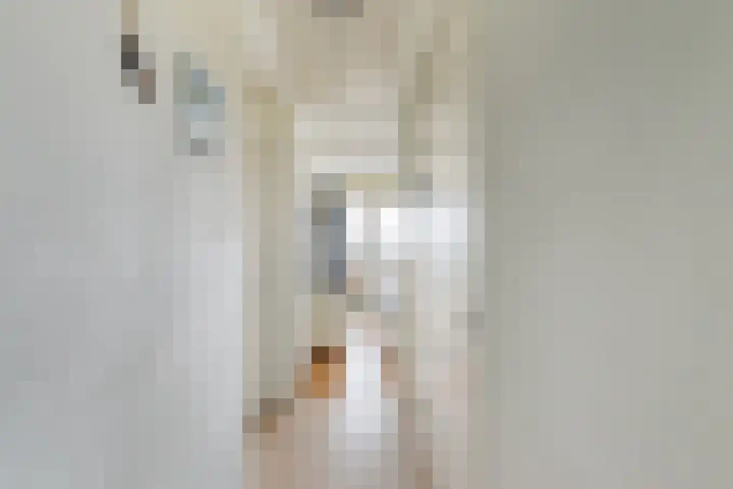 Oude Werf 24 Tholen thumbnail 19