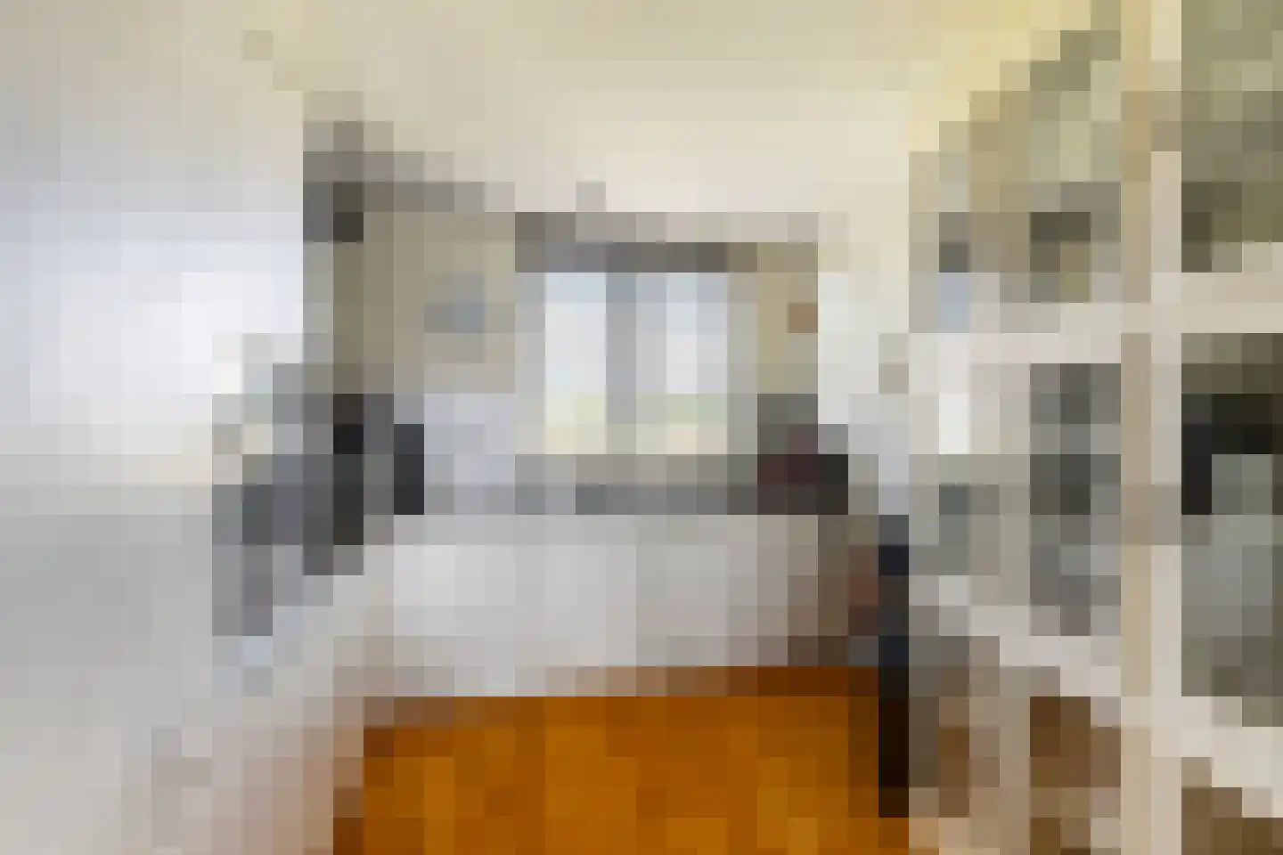 Oude Werf 24 Tholen foto 3
