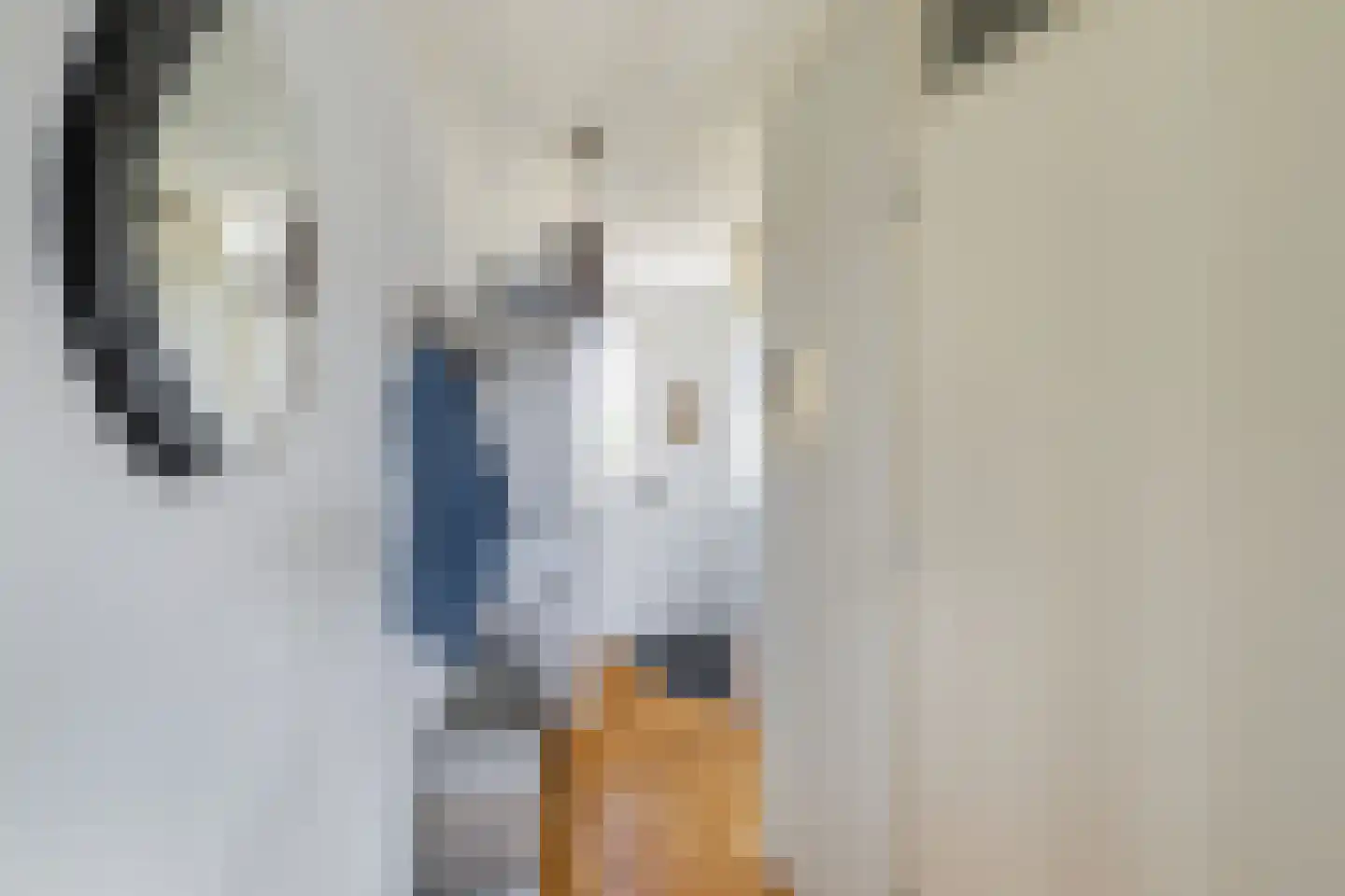 Oude Werf 24 Tholen thumbnail 9