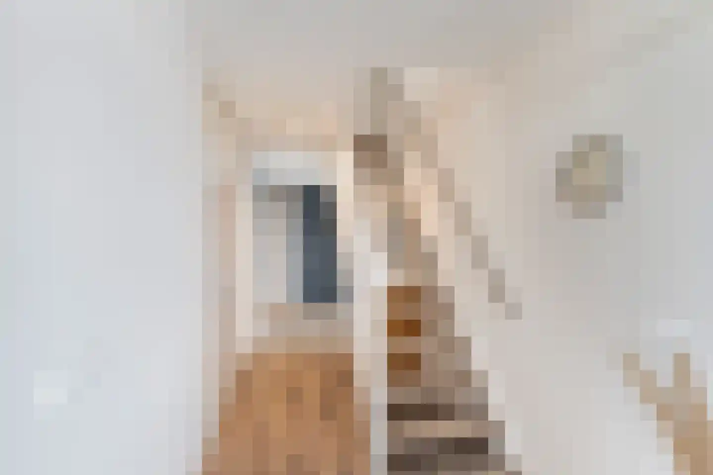 Oude Werf 32 Tholen thumbnail 13