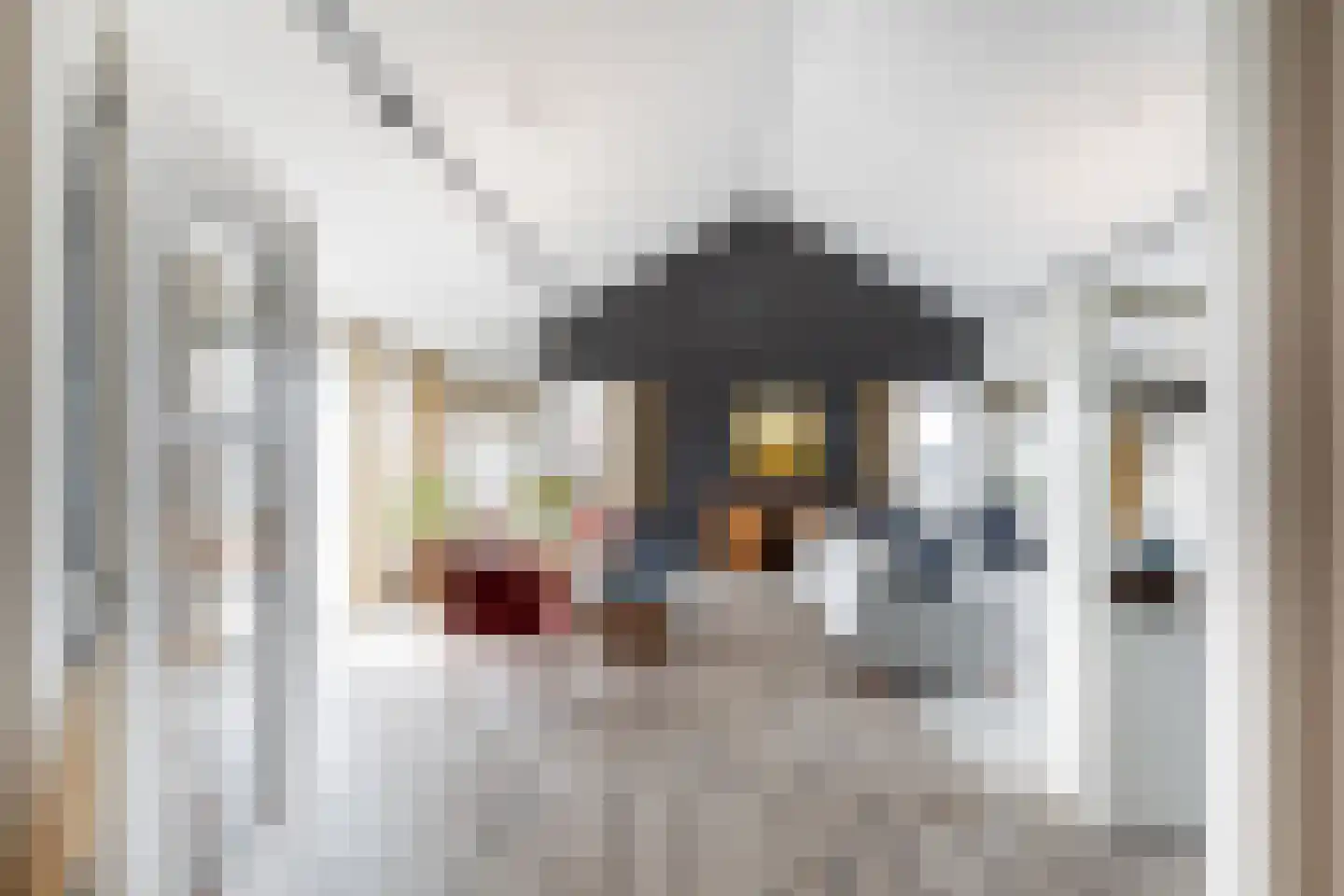 Oude Werf 32 Tholen thumbnail 14