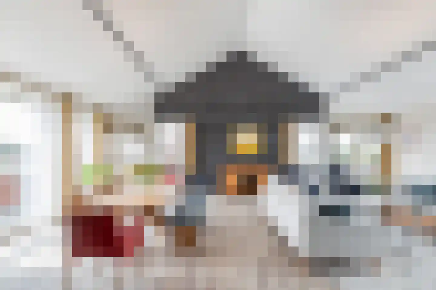 Oude Werf 32 Tholen thumbnail 16