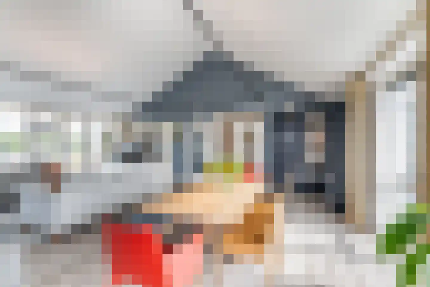 Oude Werf 32 Tholen thumbnail 19