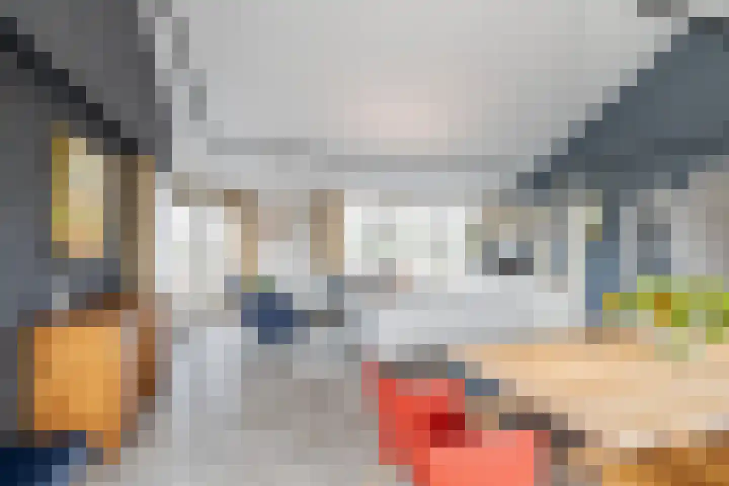 Oude Werf 32 Tholen thumbnail 20