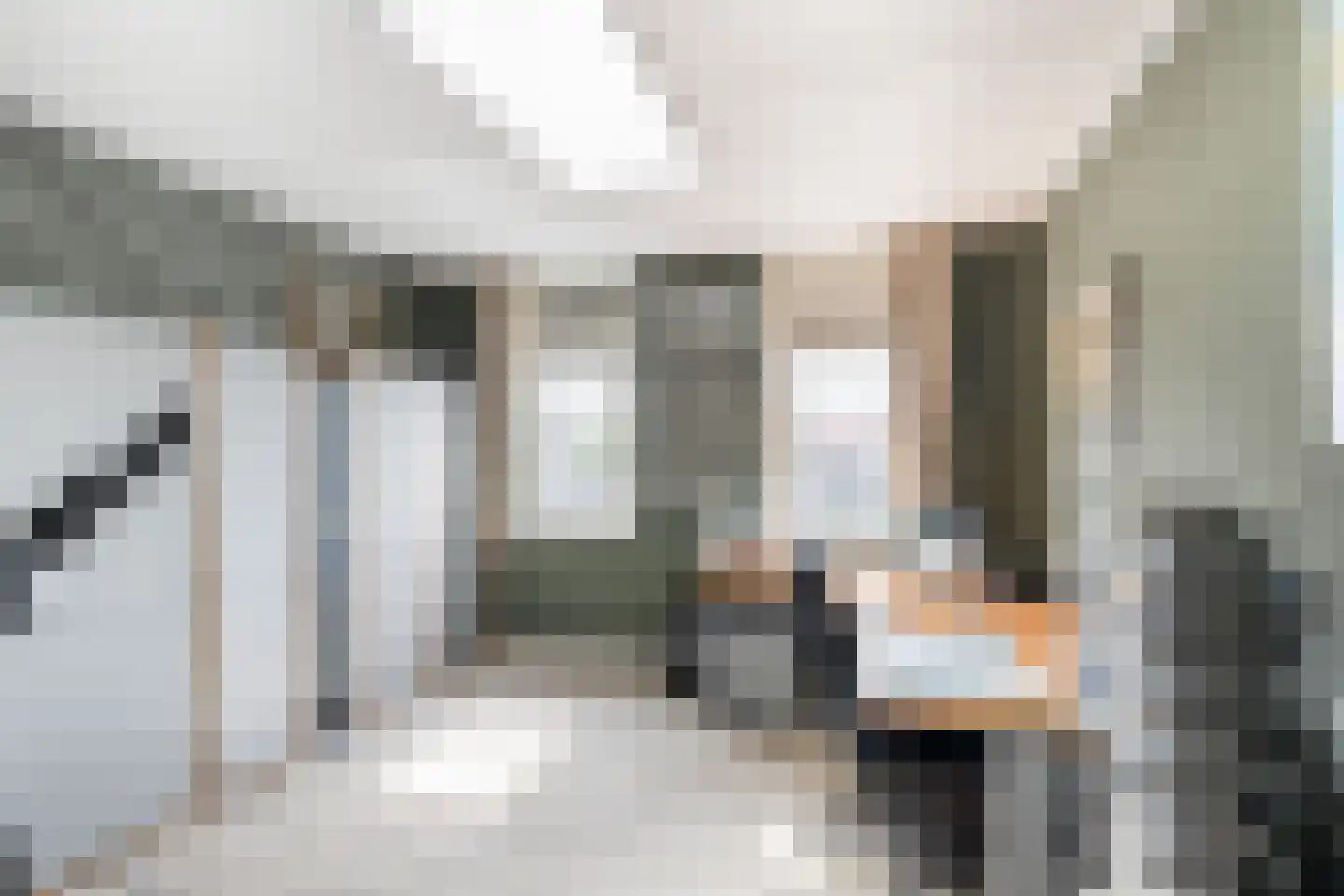 Oude Werf 32 Tholen thumbnail 30
