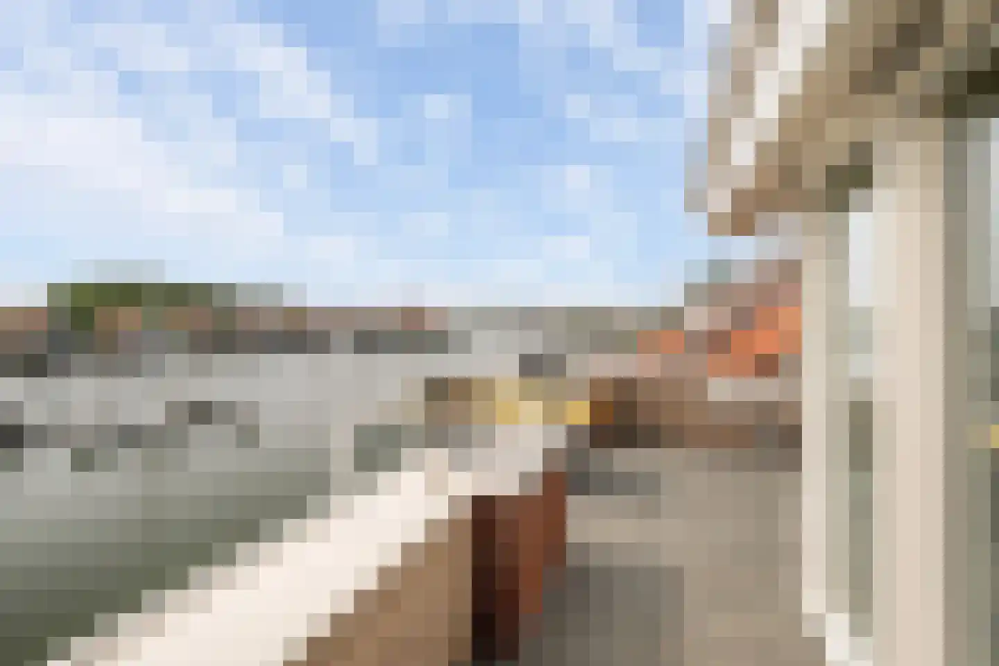 Oude Werf 32 Tholen thumbnail 39
