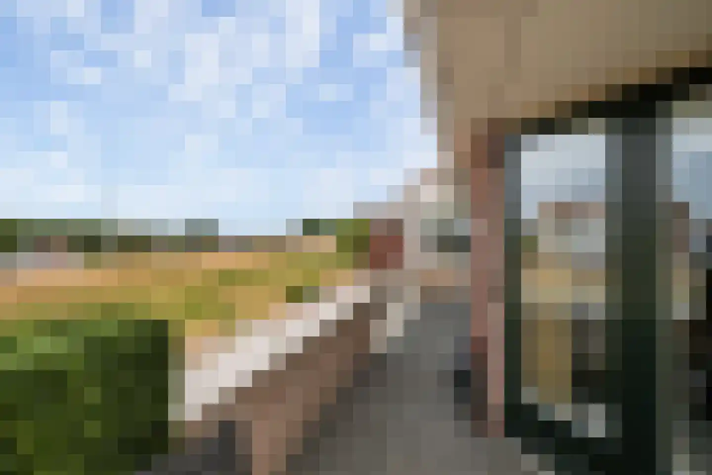 Oude Werf 32 Tholen thumbnail 46