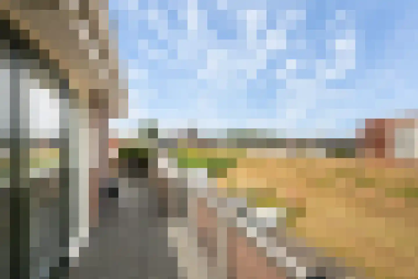 Oude Werf 32 Tholen thumbnail 47