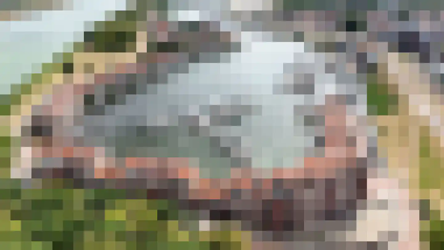 Oude Werf 32 Tholen thumbnail 55
