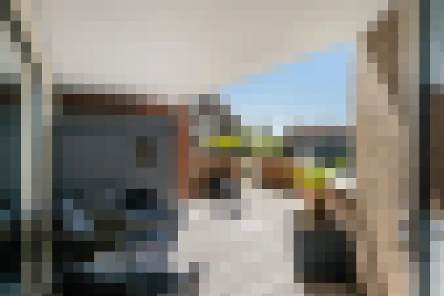 Oude Werf 40 Tholen thumbnail 22