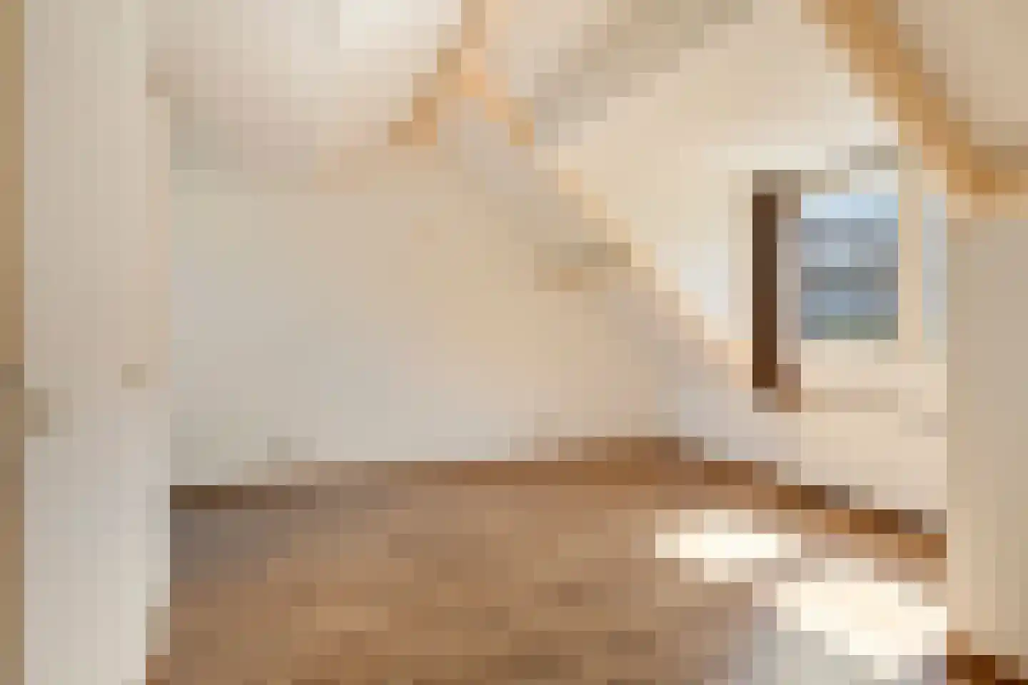 Oude Werfstraat 21 Middelburg thumbnail 22