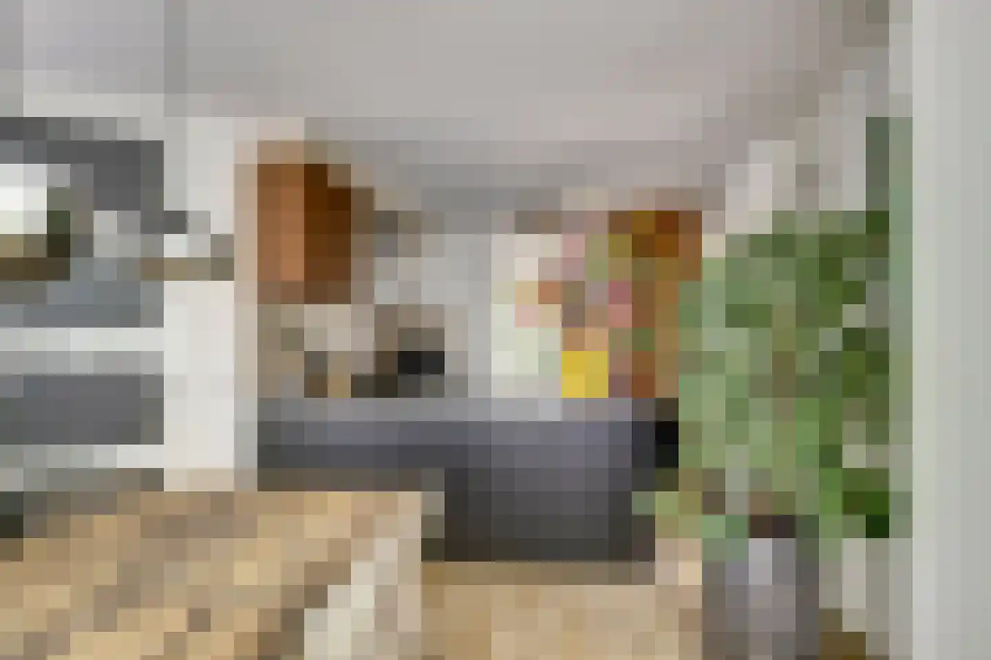 Oude Wetering 13 Cothen thumbnail 20