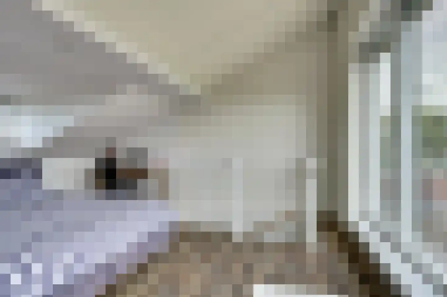 Oude Wetering 13 Cothen thumbnail 29