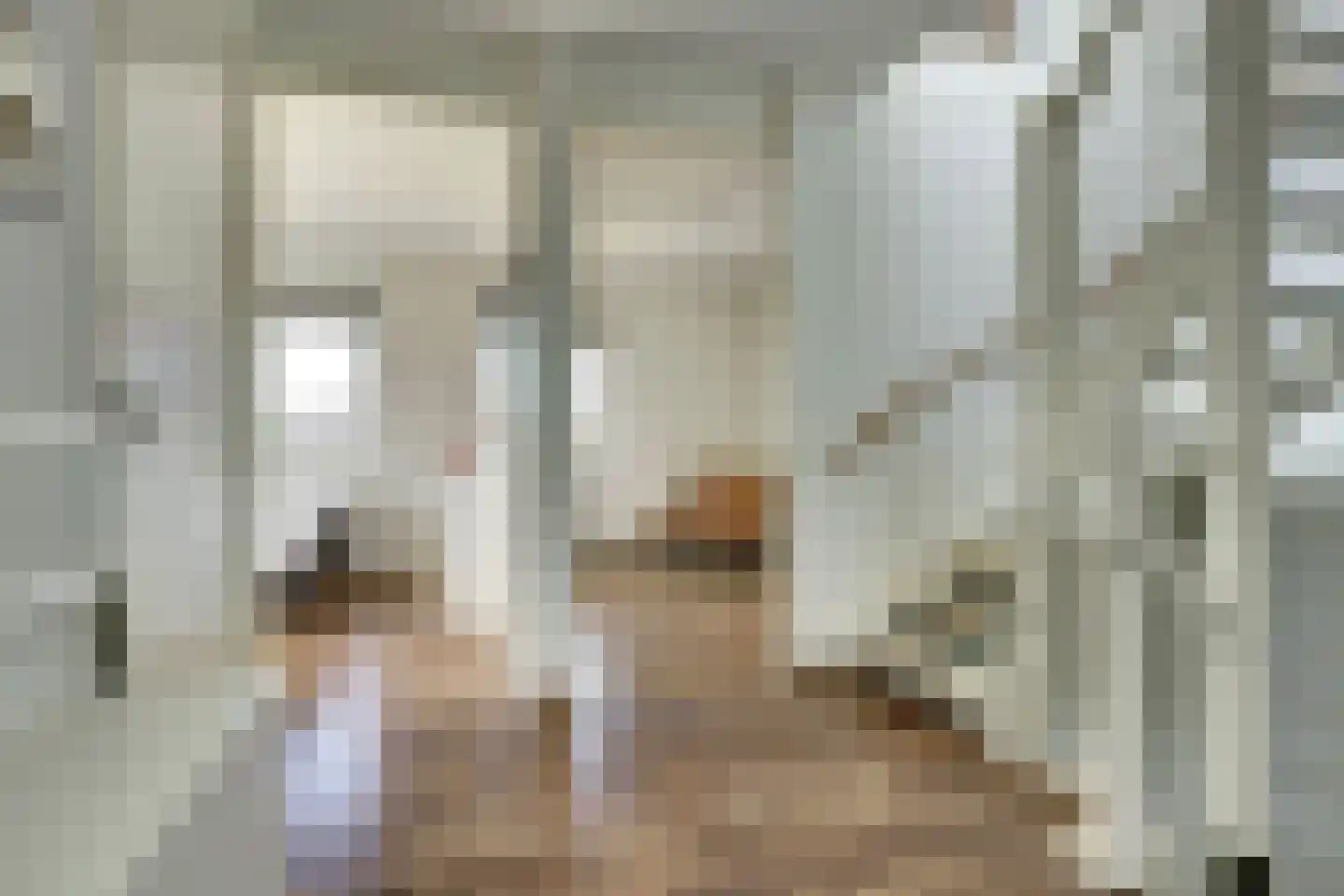 Oude Wetering 13 Cothen thumbnail 38