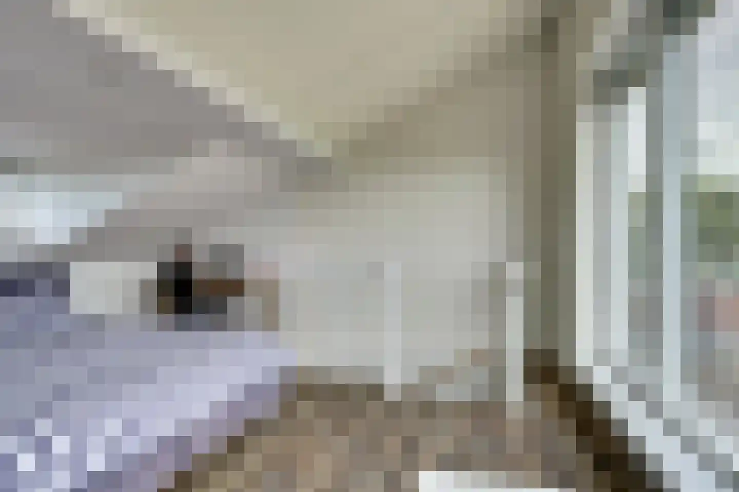 Oude Wetering 13 Cothen thumbnail 42