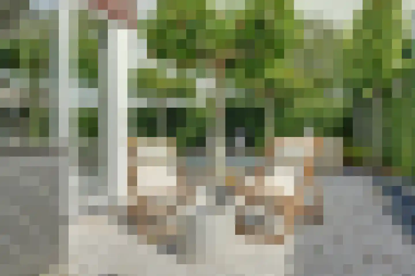 Oude Wetering 13 Cothen thumbnail 50