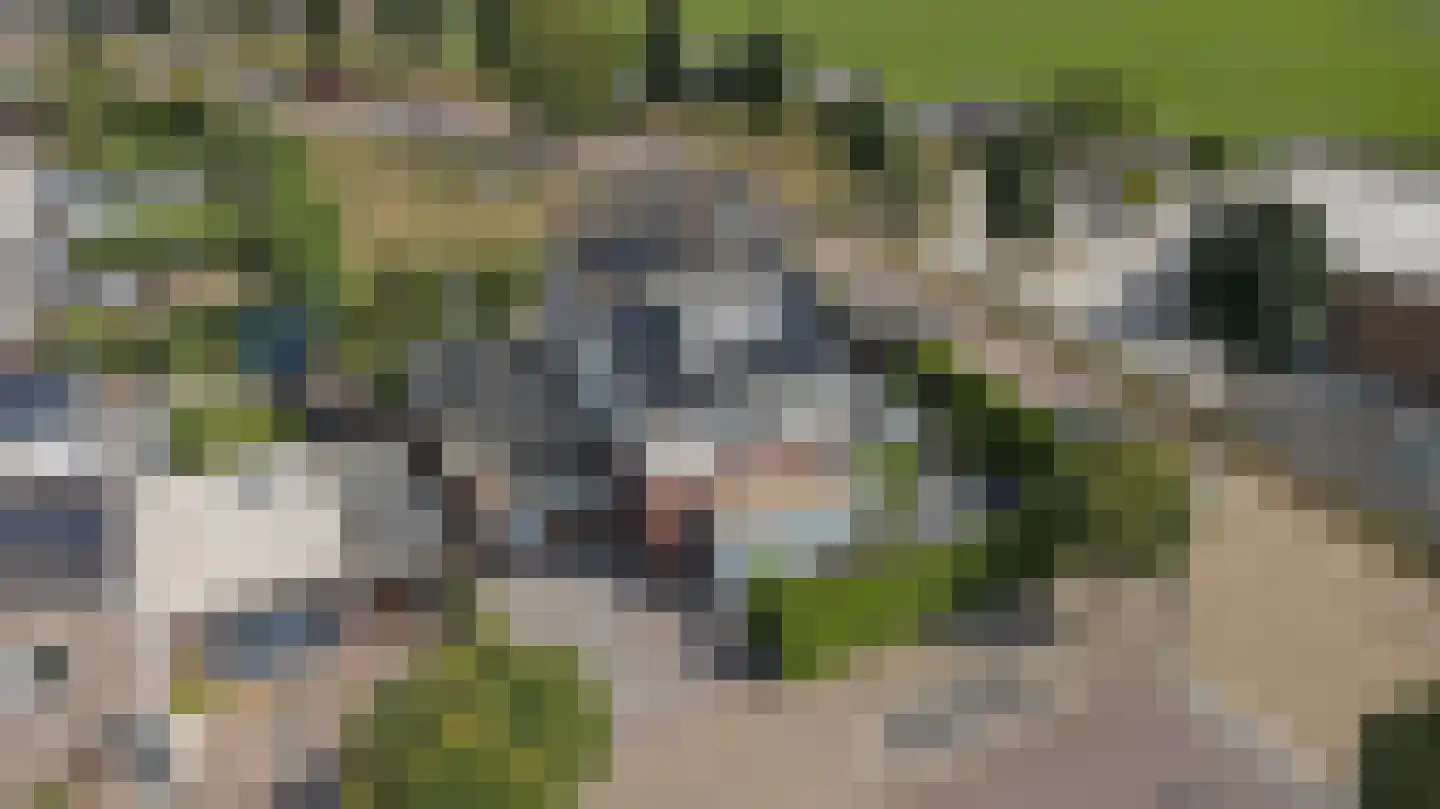 Oude Wetering 13 Cothen thumbnail 56