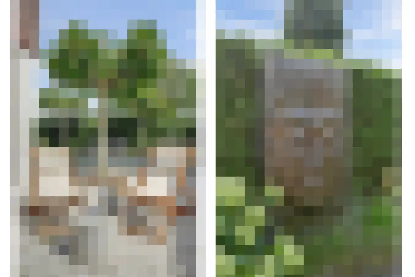 Oude Wetering 13 Cothen thumbnail 6