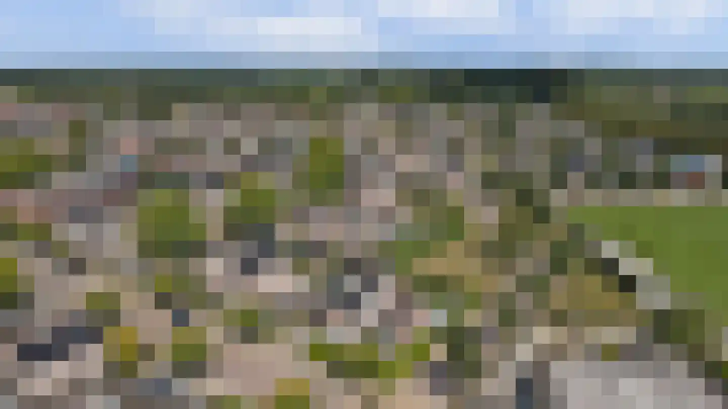 Oude Wetering 13 Cothen thumbnail 64
