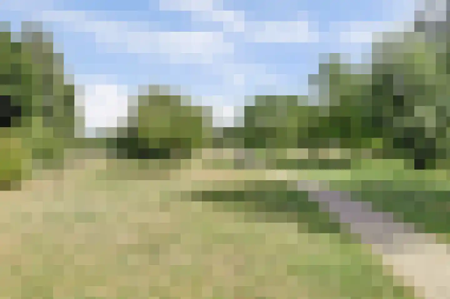 Oude Wetering 13 Cothen thumbnail 66