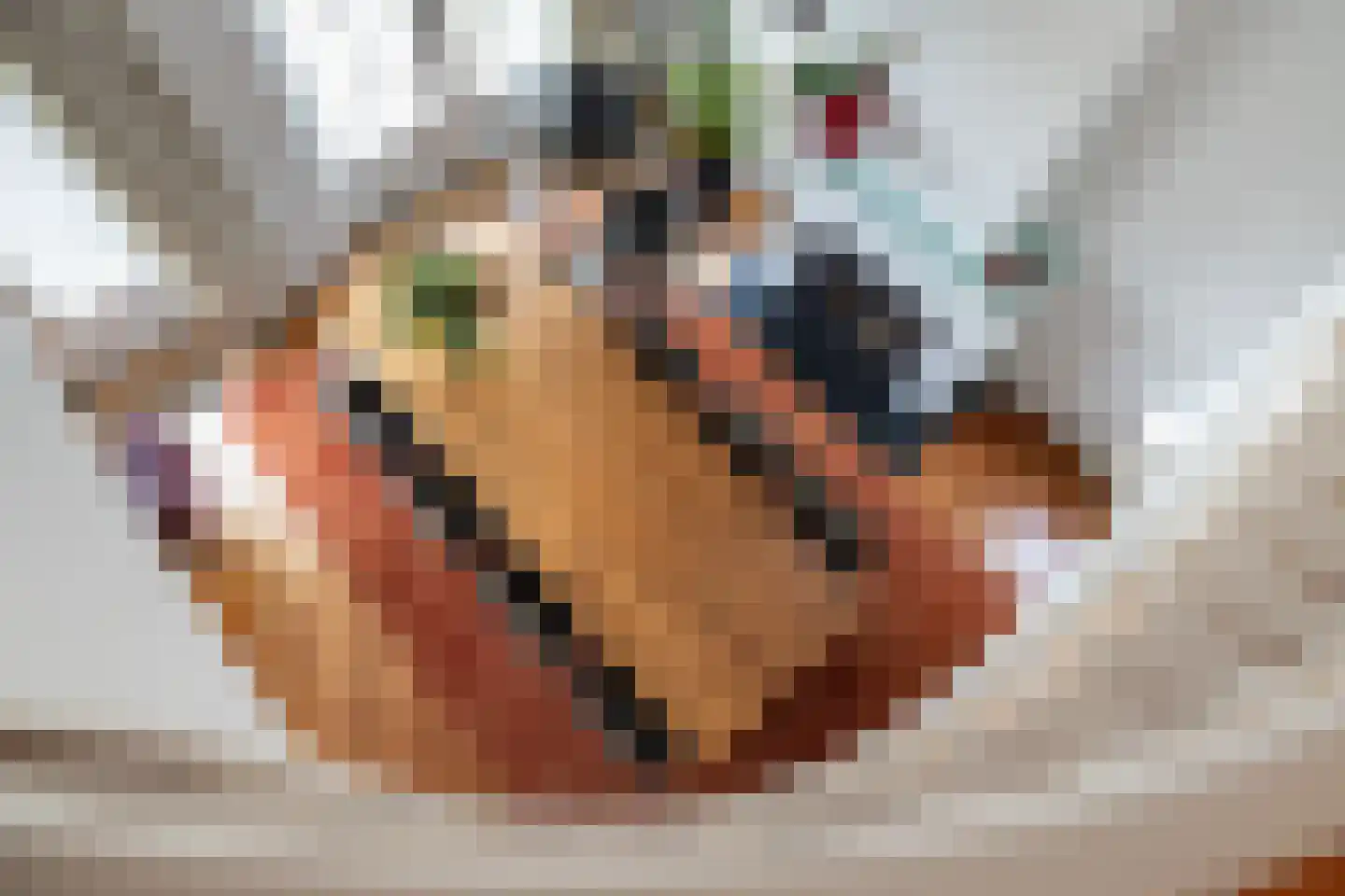 Oude Wetering 15 Streefkerk thumbnail 30