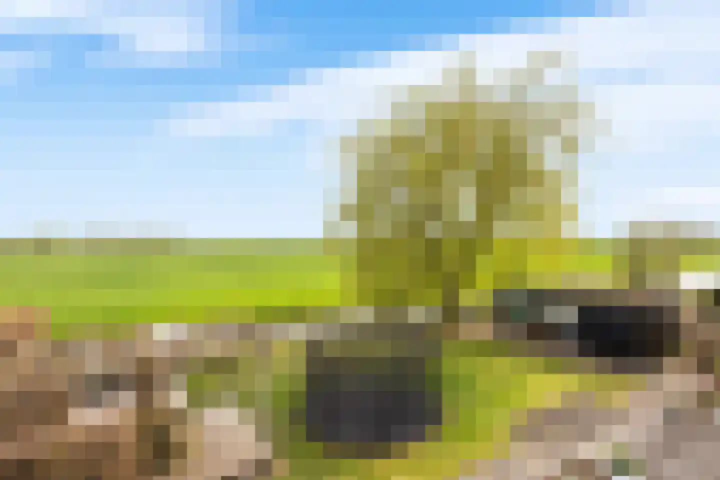 Oude Wetering 15 Streefkerk thumbnail 35