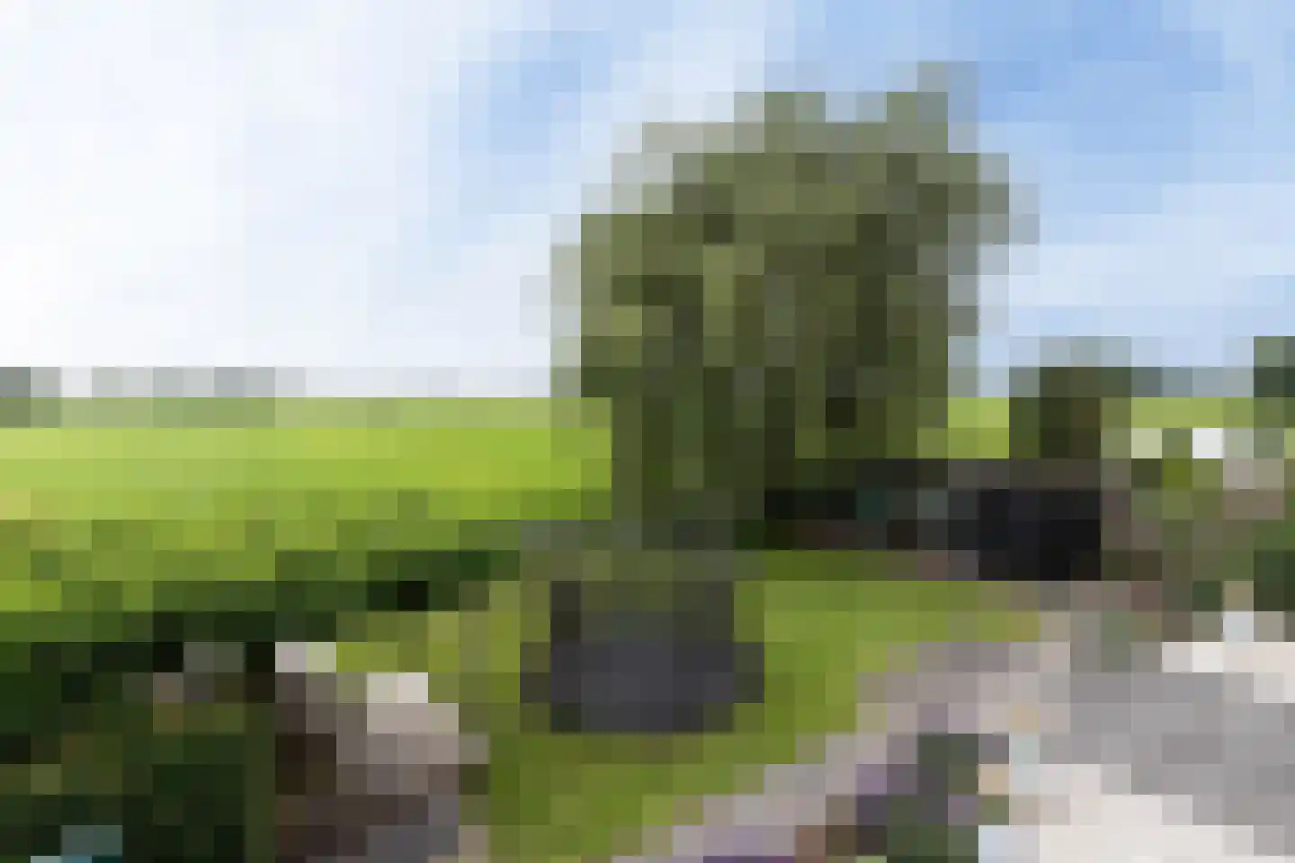 Oude Wetering 15 Streefkerk thumbnail 35