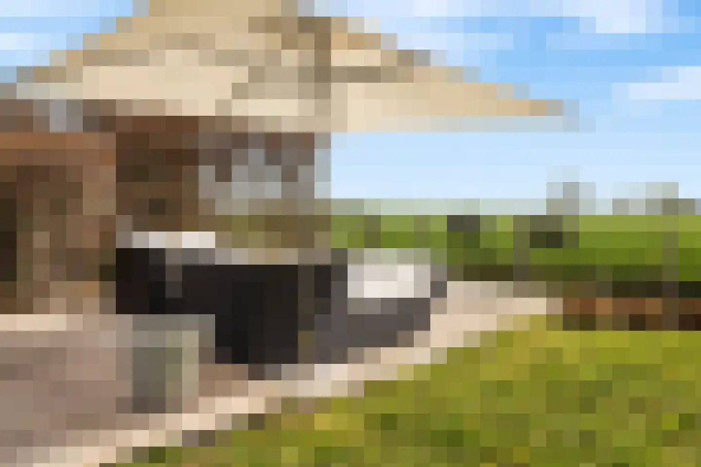 Oude Wetering 15 Streefkerk thumbnail 4