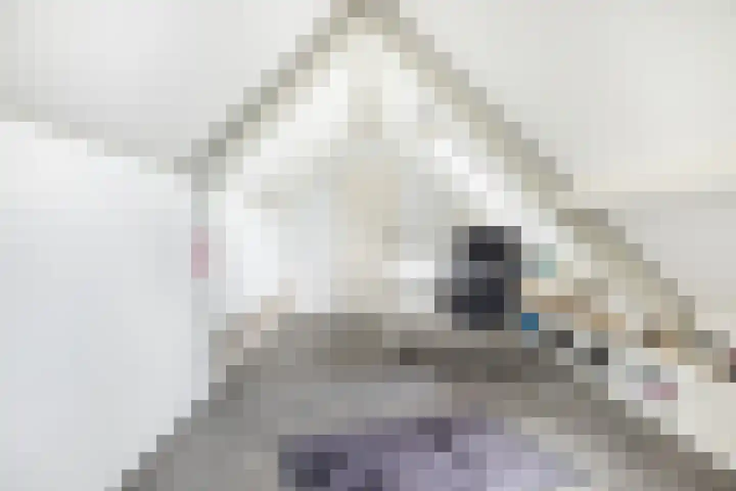 Oude Wetering 15 Streefkerk thumbnail 48