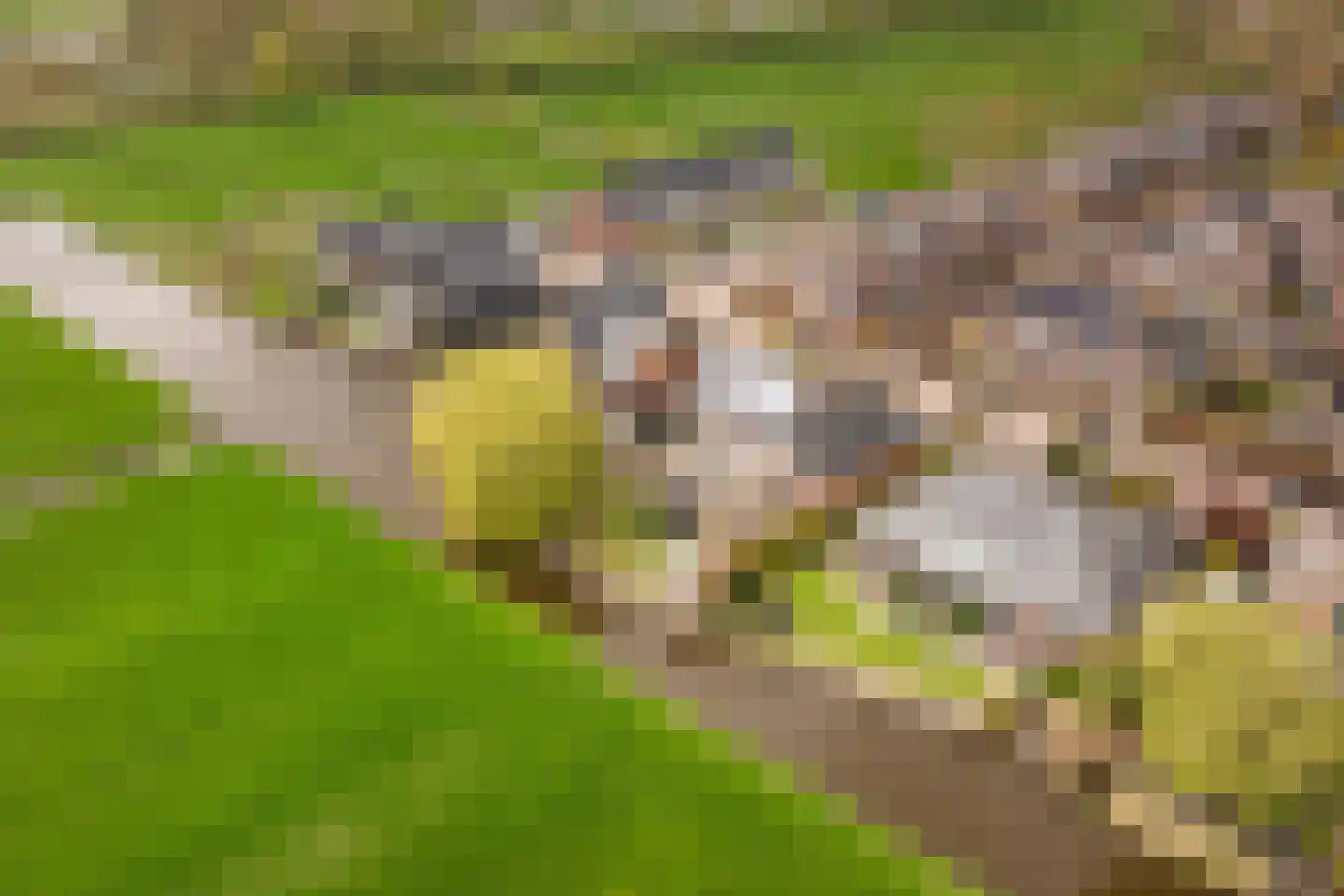 Oude Wetering 15 Streefkerk thumbnail 5