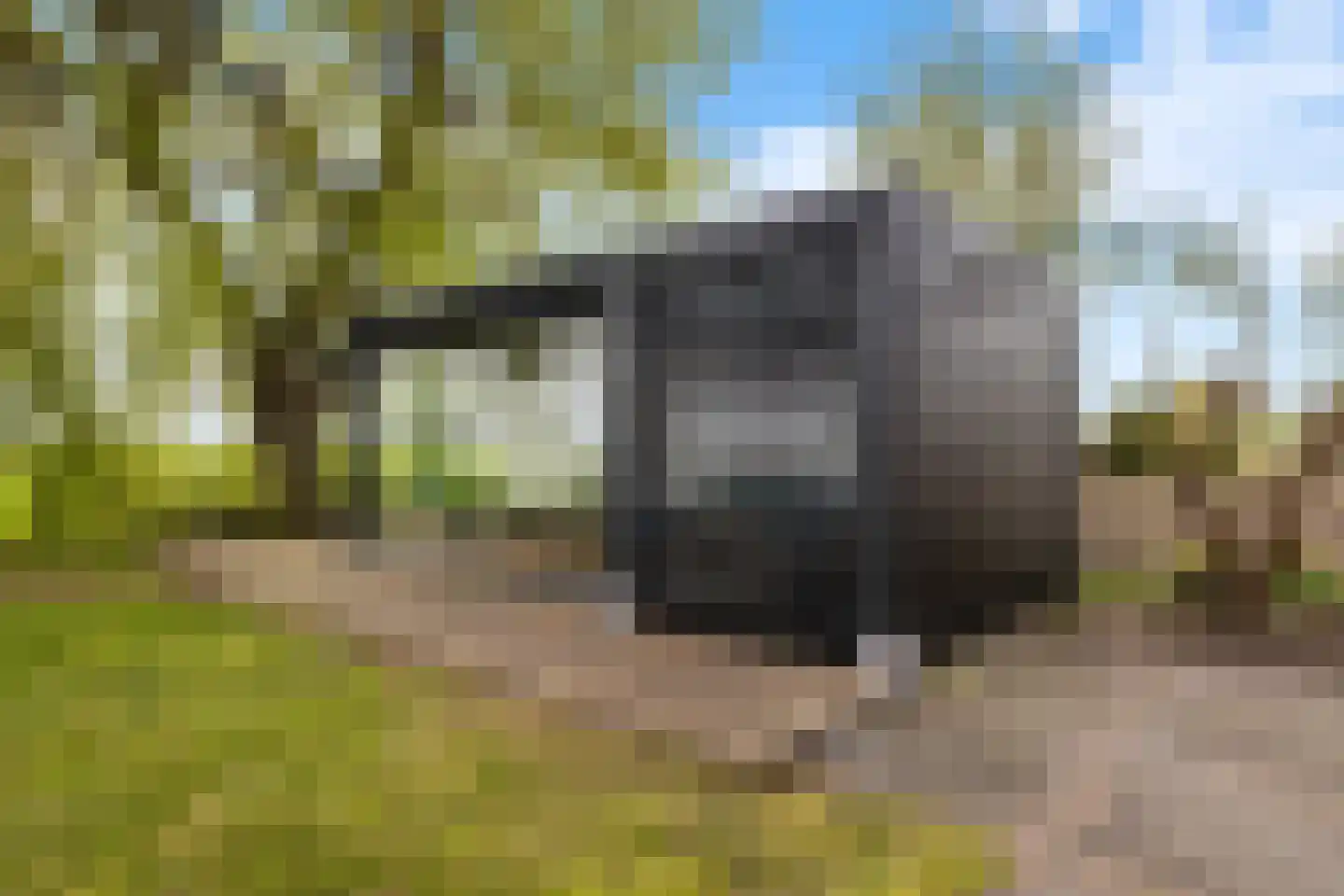 Oude Wetering 15 Streefkerk thumbnail 60