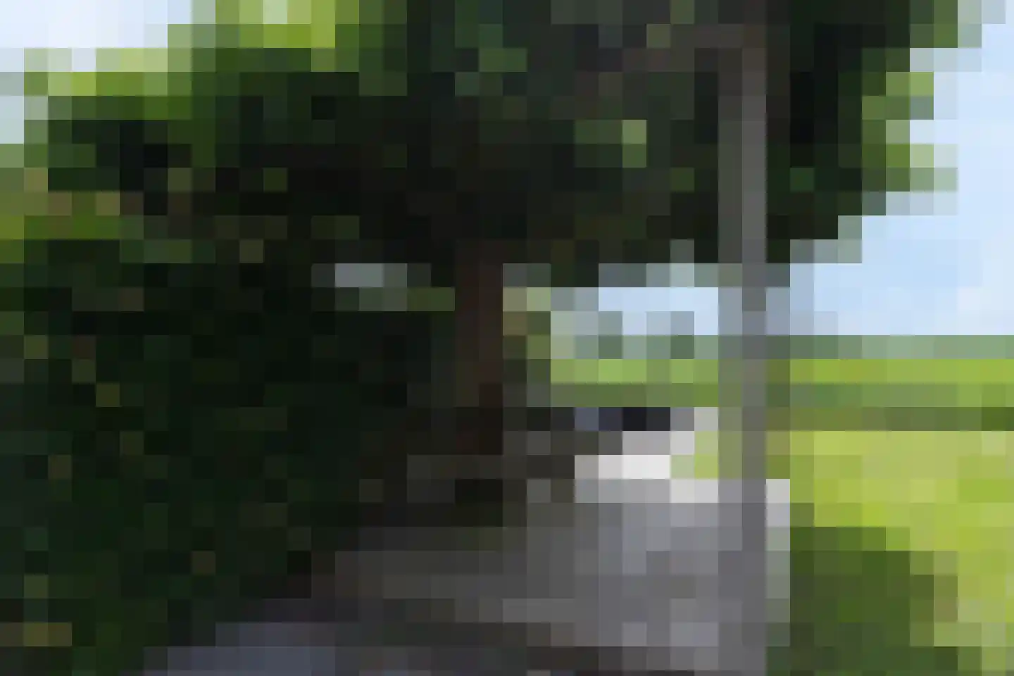 Oude Wetering 15 Streefkerk thumbnail 67